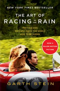 Produktbild: The Art of Racing in the Rain Movie Tie-in Edition