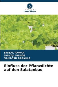 Produktbild: Einfluss der Pflanzdichte auf den Salatanbau