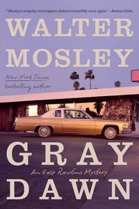 Produktbild: Gray Dawn