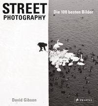 Bild vom Artikel Street Photography: Die 100 besten Bilder vom Autor David Gibson