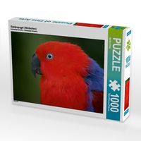 Produktbild: CALVENDO Puzzle Edelpapagei (Weibchen) | 1000 Teile Lege-Gr&ouml;&szlig;e 64x48cm Foto-Puzzle f&uuml;r gl&uuml;ckliche Stunden