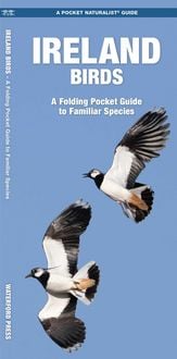 Produktbild: Ireland Birds
