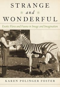 Produktbild: Strange and Wonderful