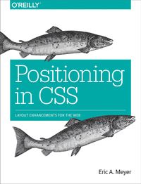 Produktbild: Positioning in CSS