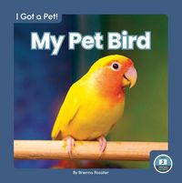 Produktbild: My Pet Bird