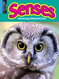 Produktbild: Senses