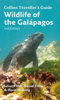 Produktbild: Wildlife of the Galapagos