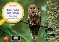 Produktbild: Eule, Fuchs und Hirsch. Tiere im Wald