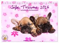 Produktbild: S&uuml;&szlig;e Tr&auml;ume 2026 - schlafende Hundewelpen (Tischkalender 2026 DIN A5 quer), CALVENDO Monatskalender