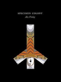 Produktbild: Finlay, A: Specimen Colony