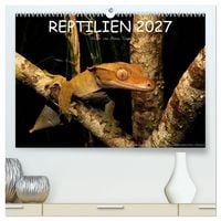 Produktbild: REPTILIEN (hochwertiger Premium Wandkalender 2027 DIN A2 quer), Kunstdruck in Hochglanz