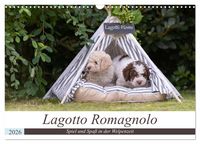 Produktbild: Lagotto Romagnolo - Spiel und Spa&szlig; in der Welpenzeit (Wandkalender 2026 DIN A3 quer), CALVENDO Monatskalender