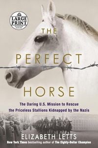 Produktbild: The Perfect Horse