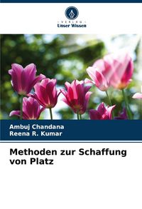 Produktbild: Methoden zur Schaffung von Platz