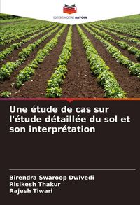 Produktbild: Une &eacute;tude de cas sur l'&eacute;tude d&eacute;taill&eacute;e du sol et son interpr&eacute;tation