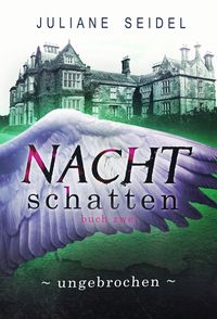 Bild vom Artikel Nachtschatten - Ungebrochen vom Autor Juliane Seidel