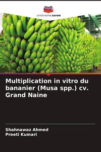 Produktbild: Multiplication in vitro du bananier (Musa spp.) cv. Grand Naine