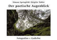 Produktbild: Der poetische Augenblick