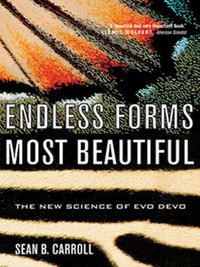 Produktbild: Endless Forms Most Beautiful