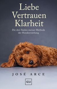 Produktbild: Liebe Vertrauen Klarheit