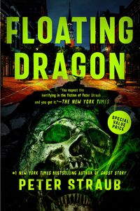 Bild vom Artikel Floating Dragon vom Autor Peter Straub