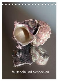 Produktbild: Muscheln und Schnecken (Tischkalender 2026 DIN A5 hoch), CALVENDO Monatskalender