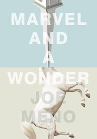 Produktbild: Marvel and a Wonder