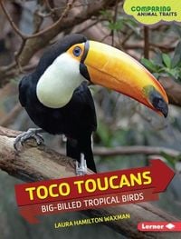 Produktbild: Toco Toucans