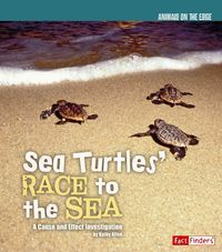 Produktbild: Sea Turtles Race To Sea