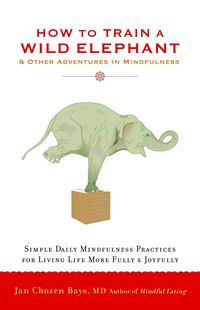 Produktbild: How to Train a Wild Elephant