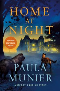 Produktbild: Home at Night