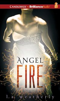 Produktbild: ANGEL FIRE 17D
