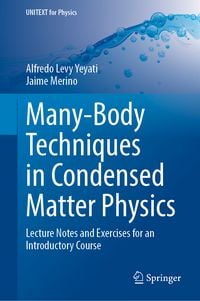 Produktbild: Many-Body Techniques in Condensed Matter Physics