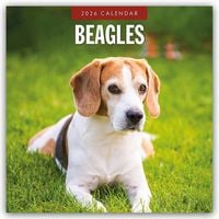Produktbild: Beagles &ndash; Beagle 2026 &ndash; 16-Monatskalender