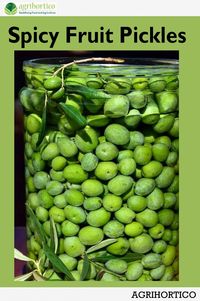Produktbild: Spicy Fruit Pickles
