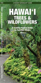 Produktbild: Hawai'i Trees & Wildflowers, 2nd Ed
