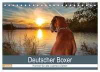 Produktbild: Deutscher Boxer (Tischkalender 2026 DIN A5 quer), CALVENDO Monatskalender