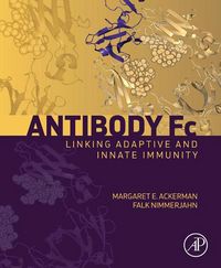 Produktbild: Antibody Fc