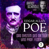 Bild vom Artikel Das System des Dr. Teer und Prof. Feder vom Autor Edgar Allan Poe