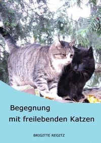Produktbild: Begegnung mit freilebenden Katzen.