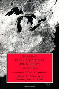 Produktbild: Scaling Physiological Processes