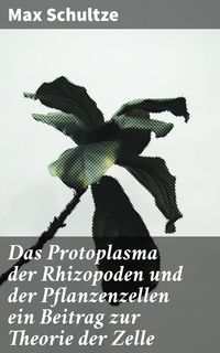 Produktbild: Das Protoplasma der Rhizopoden und der Pflanzenzellen ein Beitrag zur Theorie der Zelle