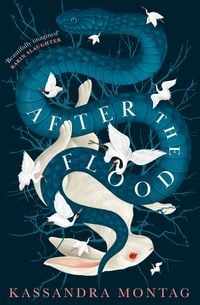 Produktbild: Montag, K: After the Flood