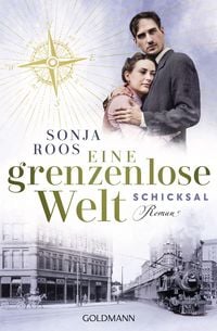 Produktbild: Eine grenzenlose Welt - Schicksal