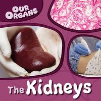 Produktbild: The Kidneys