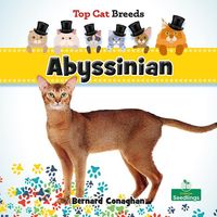 Produktbild: Abyssinian