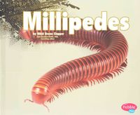 Produktbild: Millipedes