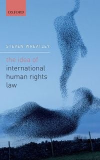 Produktbild: Idea of International Human Rights Law
