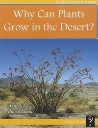Produktbild: Why Can Plants Grow in the Desert?