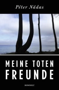 Produktbild: Meine toten Freunde